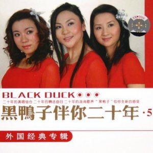 标签 国语民谣安静幸福散步 歌词 歌曲名 摇篮曲 歌手名 黑鸭子