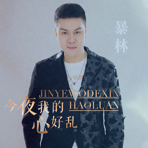 今夜我的心好乱(dj版)