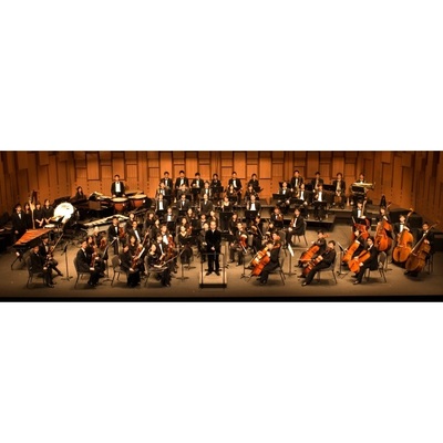 Pro Arte Orchestra Of London