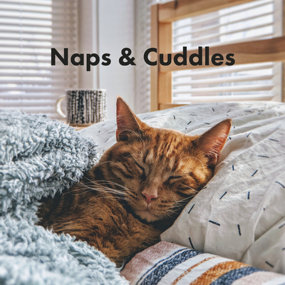 Naps & Cuddles