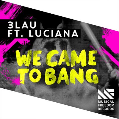 We Came To Bang (Radio Edit)
