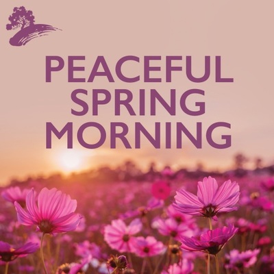 Peaceful Spring Mornings