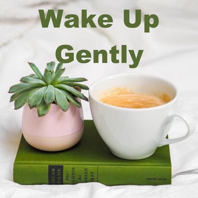 Wake Up Gently